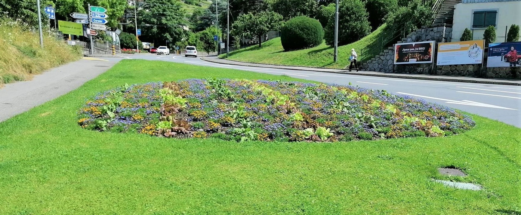 Vevey propose dès ce vendredi des salades gratuitement